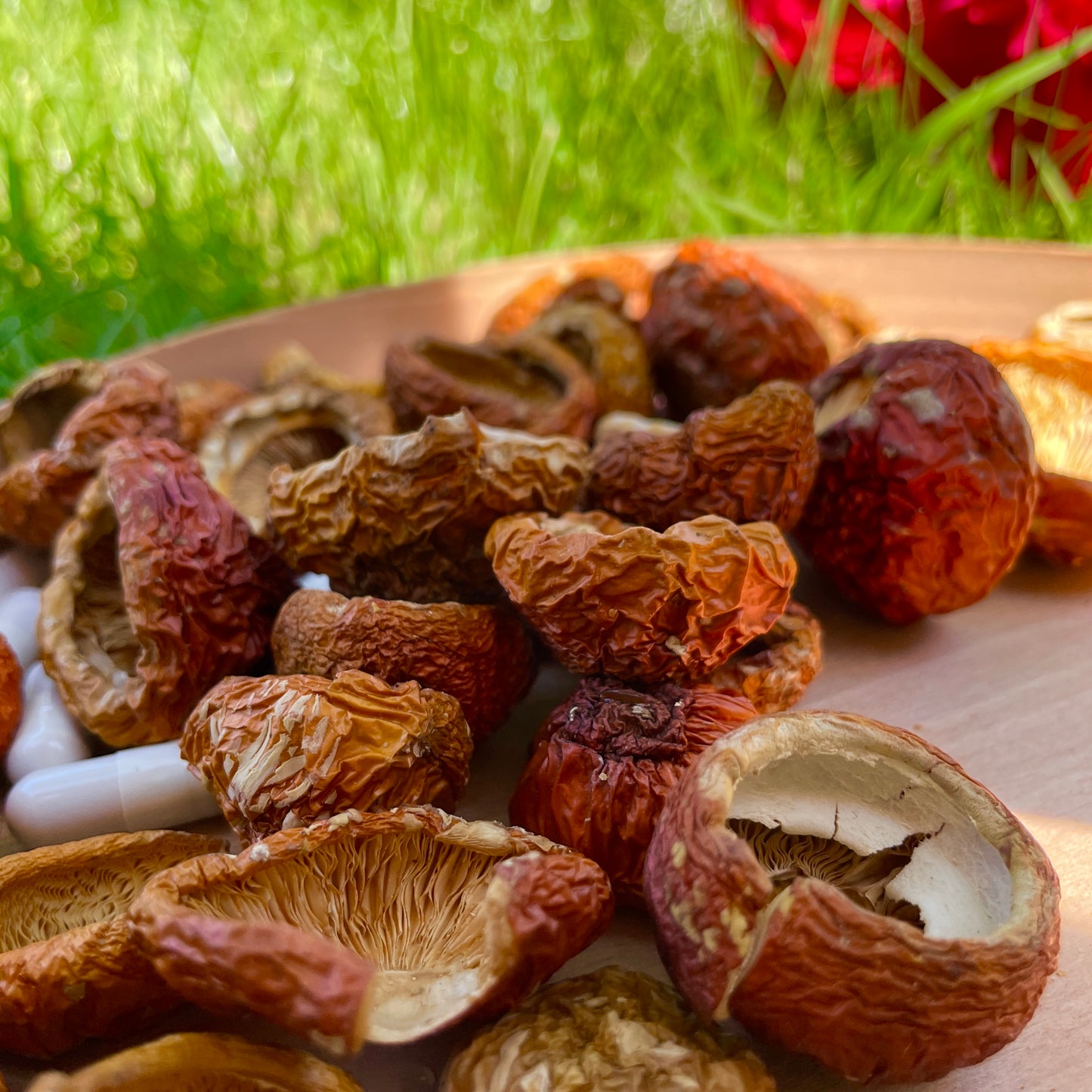 Dried Amanita PREMIUM