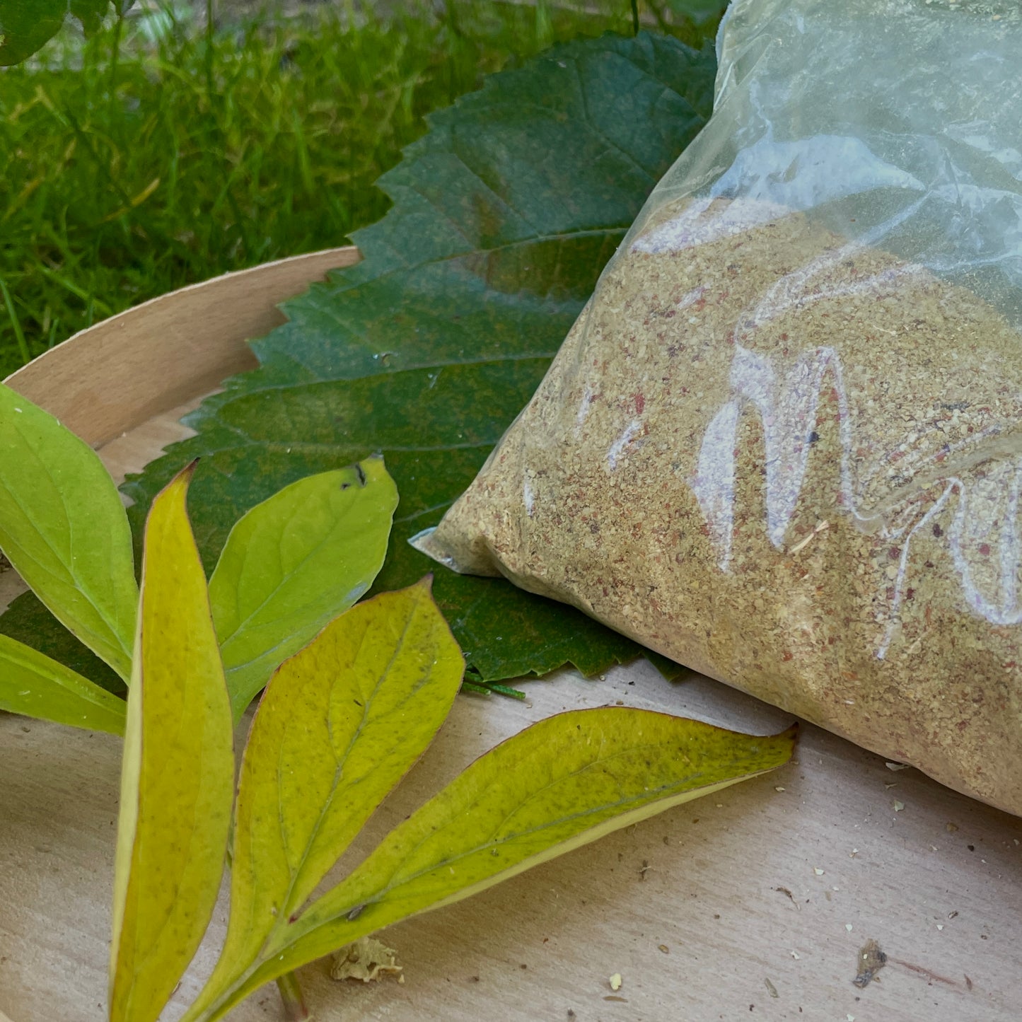 Amanita Muscaria Powder