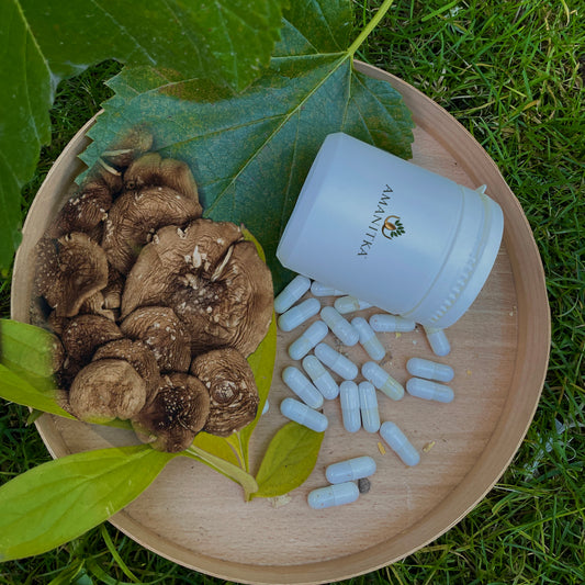 Amanita Panther Capsules